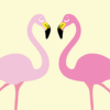 Berichten via je WordPress contactformulier: zo mis je niets flamingos