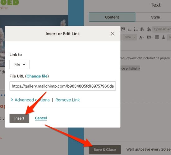 mailchimp bijlage bestand invoegen in nieuwsbrief