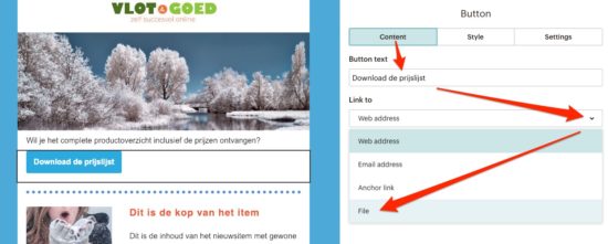 mailchimp bijlage als knop invoegen
