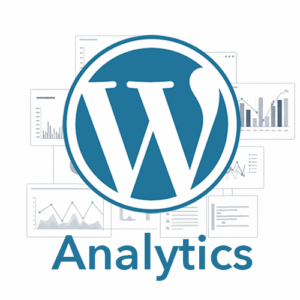WordPress statistieken plugin (eenvoudige alternatieven voor Google Analytics)